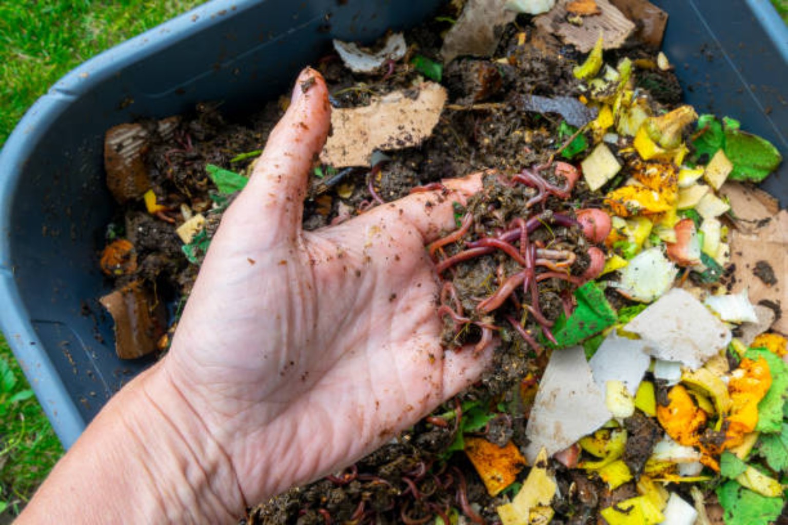Composting image