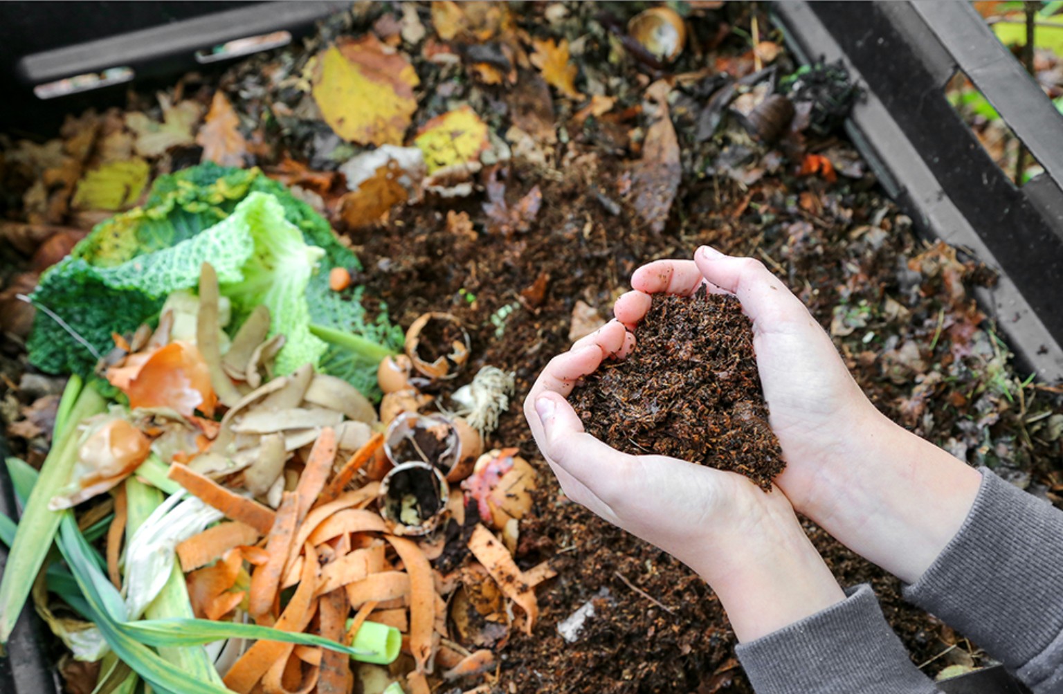 Composting image