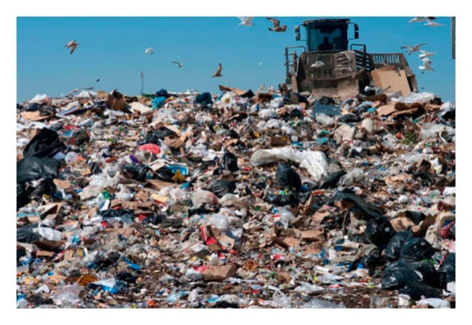 Landfill Management